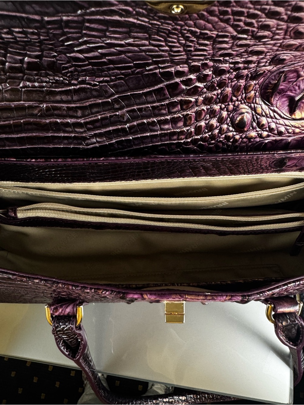 Brahmin Dayan Satchel Handbag-Fig Jam Melbourne FA 2023 Collection - Picture 5 of 5
